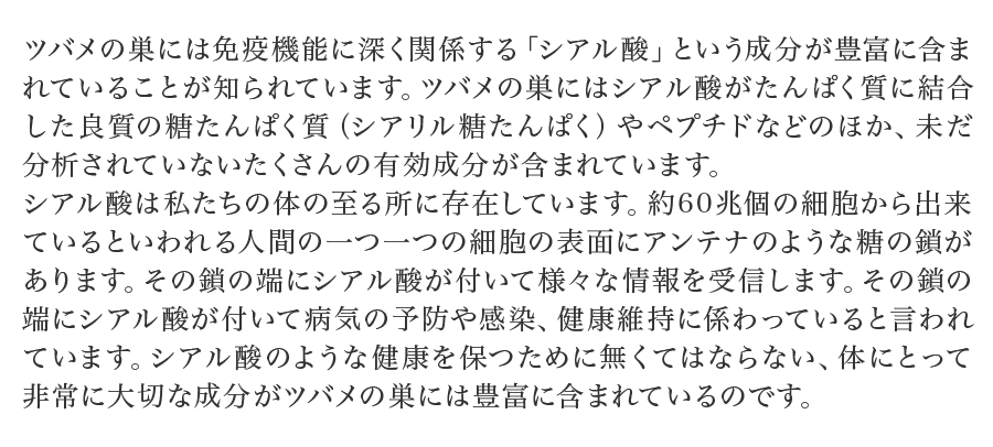 ツバメの巣には免疫機能に深く関係する「シアル酸」という成分が豊富に含まれていることが知られています。ツバメの巣にはシアル酸がたんぱく質に結合した良質の糖たんぱく質（シアリル糖たんぱく）やペプチドなどのほか、未だ分析されていないたくさんの有効成分が含まれています。シアル酸は私たちの体の至る所に存在しています。約60兆個の細胞から出来ているといわれる人間の一つ一つの細胞の表面にアンテナのような糖の鎖があります。その鎖の端にシアル酸が付いて様々な情報を受信します。その鎖の端にシアル酸が付いて病気の予防や感染、健康維持に係わっていると言われています。シアル酸のような健康を保つために無くてはならない、体にとって非常に大切な成分がツバメの巣には豊富に含まれているのです。