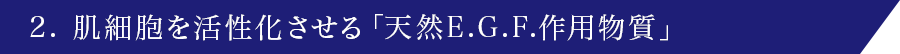 2. 肌細胞を活性化させる「天然E.G.F.作用物質」